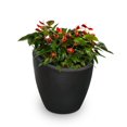 thumbnail image 1 of Modesto 20" Tall Planter, 1 of 2