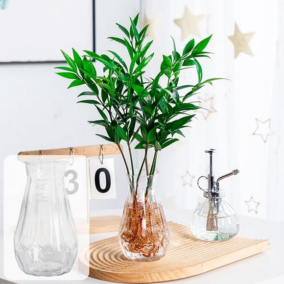 FcBaudy Décoration pour la Maison, Décoration de Chambre, Décoration Murale Jardinières Hydroponiques Transparentes Philodendron et Vases Aspect Verre à l'Armoise en Plastique Accents de Décoration pour la Maison Vase en Plastique