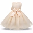 thumbnail image 2 of AAMILIFE Robe Fleur Princesse Fille Tutu Mariage Anniversaire Fête Robe Enfant Costume Enfants, 2 of 3