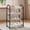 Shoe Rack Under $5 A8961, variant on Cagogo under $5 Shoe Rack, 4 Tier Metal Shoe Rack, Space Saving Shoe Storage Organizer, Bedroom Closet Entryway Shoe Shelf, Dorm Room Shoe Organizer, Steel Tube Shoe Display Rack