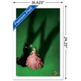 thumbnail image 2 of Wicked - Teaser One Sheet Wall Poster, 22.375" x 34", 2 of 4