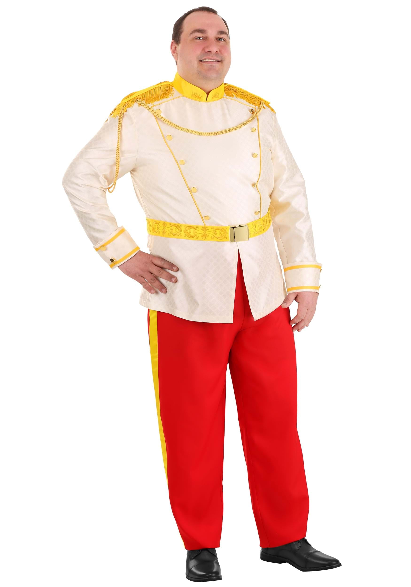 Déguisement de Prince Charmant Cendrillon Grande Taille