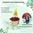 thumbnail image 3 of CBFFDC Dispositif de Retenue pour Oiseaux Collier de Récupération Ajustable pour Perroquet Anti-Morsure Protection contre les Blessures Attache Fixation Collier pour Oiseaux Accessoire pour Oiseau de Compagnie, 3 of 7