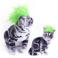 thumbnail image 4 of Perruque de Mode pour Animaux de Compagnie Perruque pour Chien Chat Fournitures pour Animaux, 4 of 9