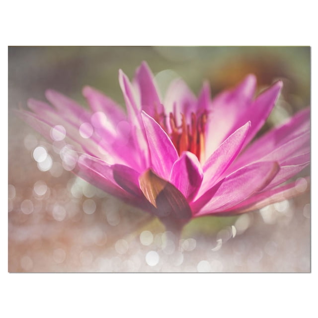 Design Art Pink Lotus on Abstract Background Canvas Print depicting a centered close-up of a pink lotus flower with layered petals and stamens, printed on gallery wrapped cotton canvas with a 1-inch wood subframe, ready to hang with included hardware, set against a soft-focus abstract background with light bokeh, suitable for enhancing home or office wall décor.