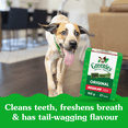 thumbnail image 3 of Greenies Original REGULAR Oral Care Natural Dental Adult Dog Treats, 3 of 13