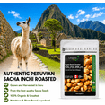 thumbnail image 3 of Sacha Inchi Seeds, 3 of 4