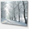 thumbnail image 2 of Winter Country Lane on Frosty Morning - Large Forest Canvas Art Print, 2 of 4