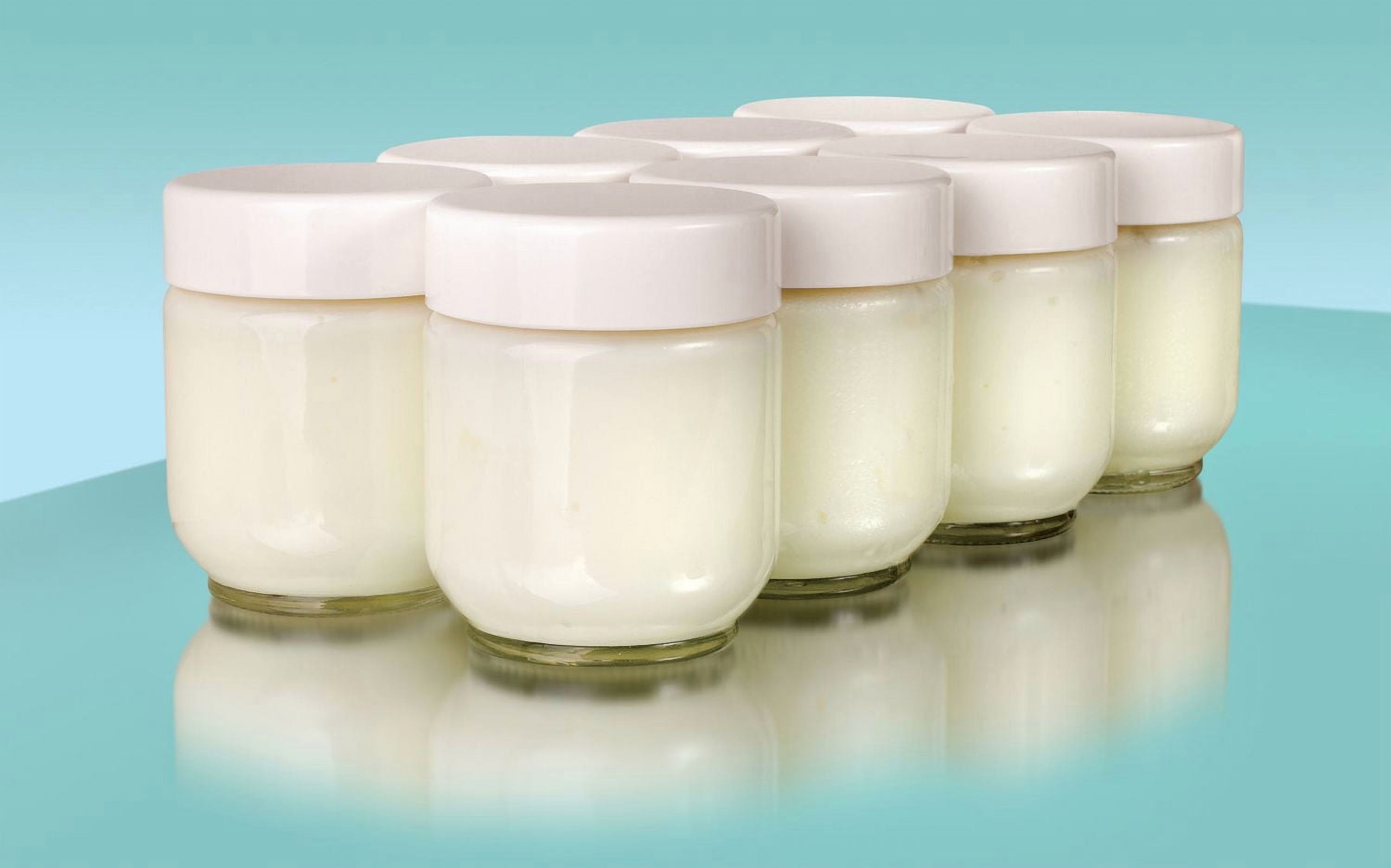 Euro Cuisine, GY1920,  8 x 6oz Jars