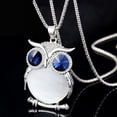 thumbnail image 1 of EGNMCR Colliers et Pendentifs Femmes Hibou Pendentif en Strass Collier Long Collier Collier, 1 of 2