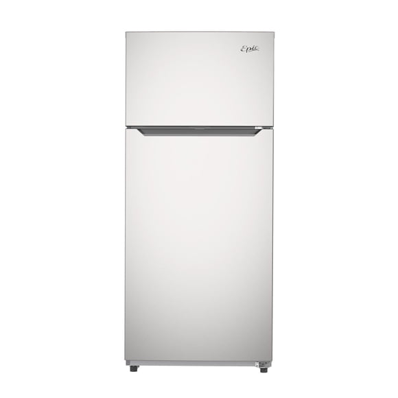 Epic 20.2 cu.ft. Stainless Steel Frost Free Refrigerator