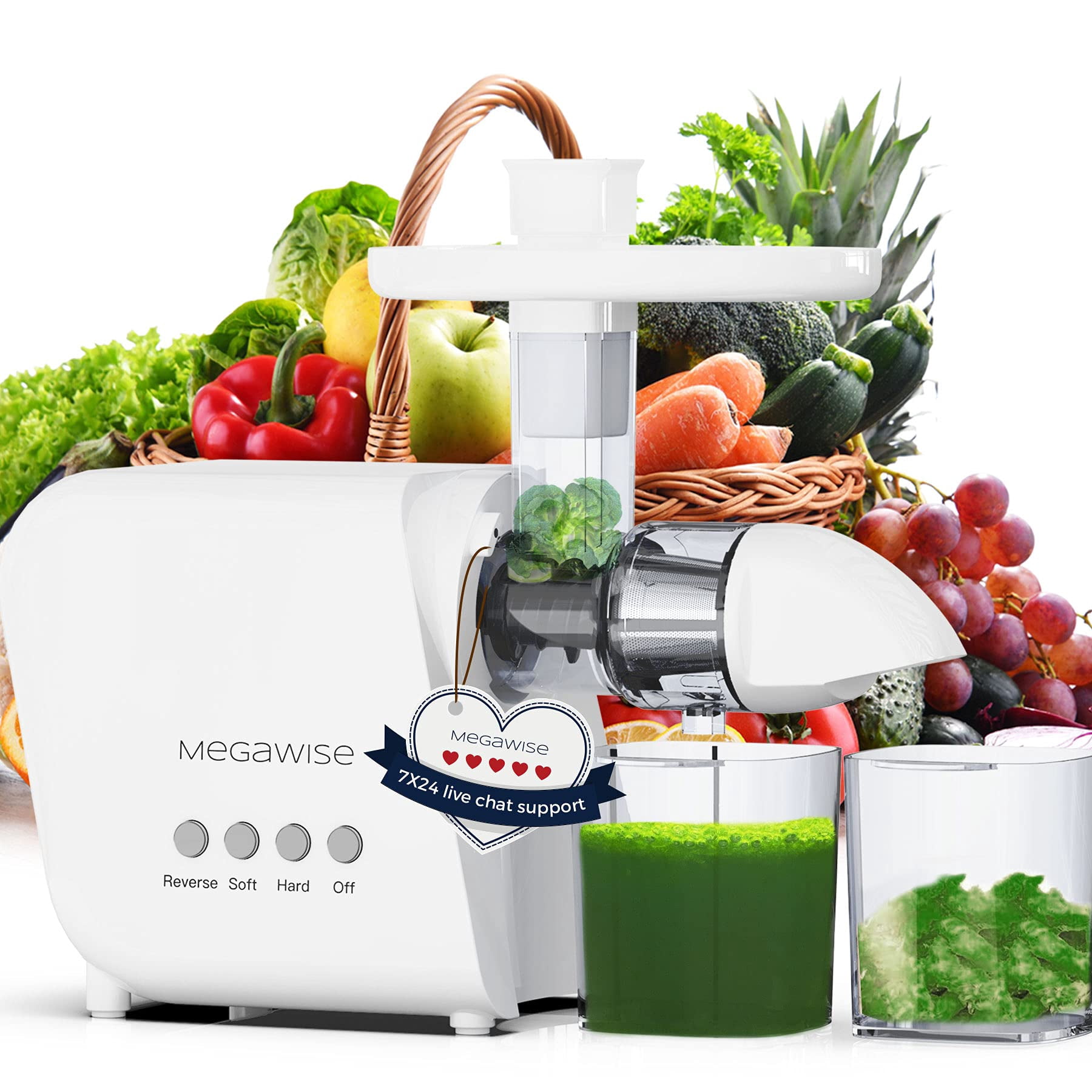 MegaWise Pro 2025 Updated Slow Masticating Juicer, 95% Juice Yield, 2-Speed & 9-Segment Spiral Cold Press, for Vegetables Fruits Nuts, Enhanced Nutri