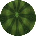 thumbnail image 1 of Ahgly Company Machine Washable Indoor Round Transitional Dark Forest Green Area Rugs, 5' Round, 1 of 7