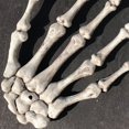 thumbnail image 4 of Halloween Skeleton Hand Bone Skeleton Desktop Decoration Weird Decoration Secret Room Bar Decoration Props, 4 of 8