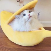 EGNMCR Dog Beds, Pet Beds Small Pet Bed Banana Shape Warm Soft Plush Breathable Bed Banana Bed the bed