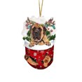thumbnail image 2 of RKSTN Fall Decorations for Home Funny Christmas Tree Decorations, Suitable For Dogs - Gifts For Dog Lovers - Christmas Decorations - Lovely Stockings Dog Christmas Tree Decorations, 2 of 2
