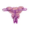 thumbnail image 1 of WTXUE Intimates String Dentelle Transparente Couleur Mode Femmes Uni 1 Pce, 1 of 4