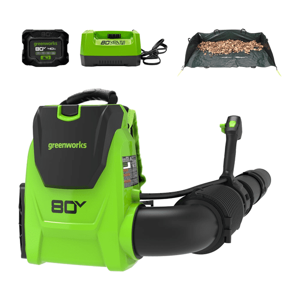 Greenworks 80V 780 CFM - Souffleur à Dos Sans Balais 205 MPH, Batterie 4,0 Ah et Chargeur Inclus, Léger et Silencieux pour Cour, Patio, Entrées, Débris d'Automne, Feuilles, Poussière, Léger, Nettoyage de la Neige