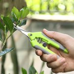 TopLLC Ciseaux de jardinage Ciseleurs de taille Ciseliers de fruits et légumes Ciselés de fruits Arbres de taille Tailler des arbres de raisin Tailler les fruits Outils de jardin Ciselage en acier inoxydable