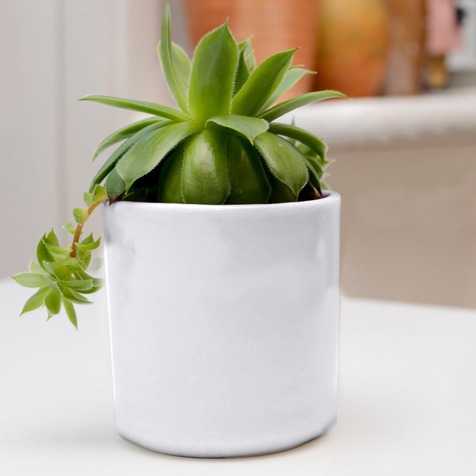 1-Pack Ceramic Plant Pots, 5Inch Plastic Planters Round Flower Planter Containers Flower Pots for Indoor/Outdoor/Garden, Plant Holder ,Coffee 1