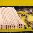 thumbnail image 4 of OULII Lot de 50 Tubes de Maisons d'Abeilles en Bambou pour Balcon, 4 of 4