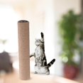 thumbnail image 1 of VONKY 1Pack Scratch Post Refill Pole Grinding Claw Protect cat Nails Sisal Rope Yellow H 25cm, 1 of 9