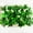 White, variant on Expandable Fake Ivy Fence Screen - Retractable Wood Frame with Realistic Leaves, Outdoor/Indoor Garden Decoration, Wedding Backdrop, Balcony Privacy Screen - Easy to Install, No Maintenance