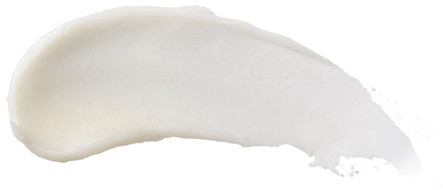 Baume hydratant pour les lèvres d’origine naturelle à 100 % la pastèque de Burt’s Bees®,
