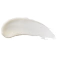 thumbnail image 3 of Burt's Bees 100% Natural Origin Moisturizing Lip Balm, Watermelon -, 3 of 5