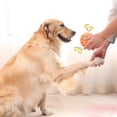 thumbnail image 3 of Volleyball Shape Squeaky Sturdy Chew For Teething And Molar Care, 3 of 4