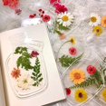 thumbnail image 4 of 20PC Large Size Bookmark Flower Page Clips Bookmarks Children Handmade DIY Transparent Flower Page Glass Bottle Wishing Bottle Sticker, 4 of 9