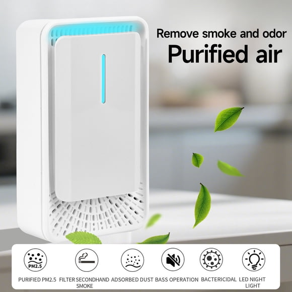 Negative Ion Air Purifier Plug-in, Smart Bactericidal Odor Removal for Home, PM2.5 Reduction Air Cleaner, Portable Office Bedroom Use, No Filter Replacement Quiet Operation