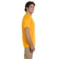 thumbnail image 3 of Fruit Of The Loom T-Shirt à Col Rond à Manches Courtes en Coton HD pour Hommes, P, Or, 3 of 3