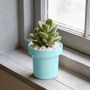 Uscallm Succulents Pots Plastic Mini Indoor Flower Planters, Creative Desktop Planter for Small Plants, Modern Nordic Style Decorative Pots, 12x12x9cm Miniature Gardening Container