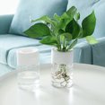 thumbnail image 4 of LCXmlly Plant Container Selfwatering Flower Pot Vegetable Herb Planter Home Decoration, 4 of 6