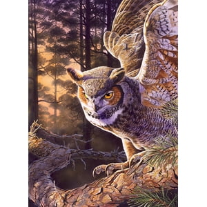 Cobble Hill 1000 Puzzle de pièce - Chasseur du soir - Modèle d'affiche inclus