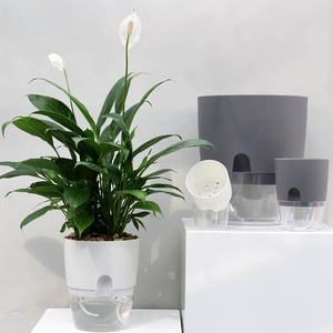 Self Watering Pot Plants Wicking Pot Flower Planter Decorative Planter Self Watering Planter Cotton Rope Plastic Decorative Planting Pot For Indoor Outdoor Plants Flowers Herbs