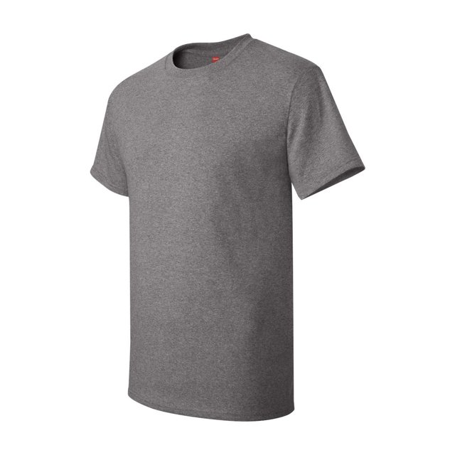 Hanes Men's Authentic-T T-Shirt - 5250T (Pack Of 3)