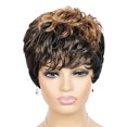 thumbnail image 1 of EGNMCR Wigs Human Hair Short Wig Color Bleaching And Dyeing Bangs Short Curly Hair False wigg, 1 of 2