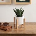 thumbnail image 3 of hometrends Parmalee Agave Ribbed White Pot, 3 of 9