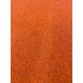 thumbnail image 1 of LaDole Rugs Marine Carpet with Waterproof Back Outdoor Area Rug for Patio Porch Deck Garage Balcony Long Runner Non Slide Backing, 1 of 6