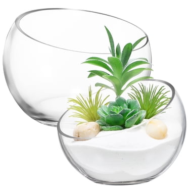2 Pcs Glass Planters Glass Fish Bowl Glass Flower Pots Succulent Planter Pot Round Flower Vase