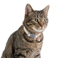 thumbnail image 1 of One Paw, Collier de Sécurité pour Chat en Cuir Végan, Fermoir Détachable, 1 of 9