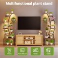 thumbnail image 4 of 9-Tier Tall Metal Plant Stand with Built-in Grow Lights for Living Room - Half Moon Multi-Level Indoor Shelf Display - Modern Multi-Tier Rack for Multiple Plants - 2 Pack, Black, 4 of 6