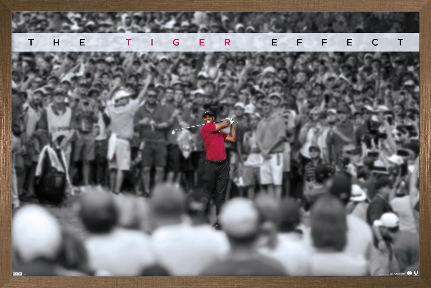 Tiger Woods - L'effet tigre
