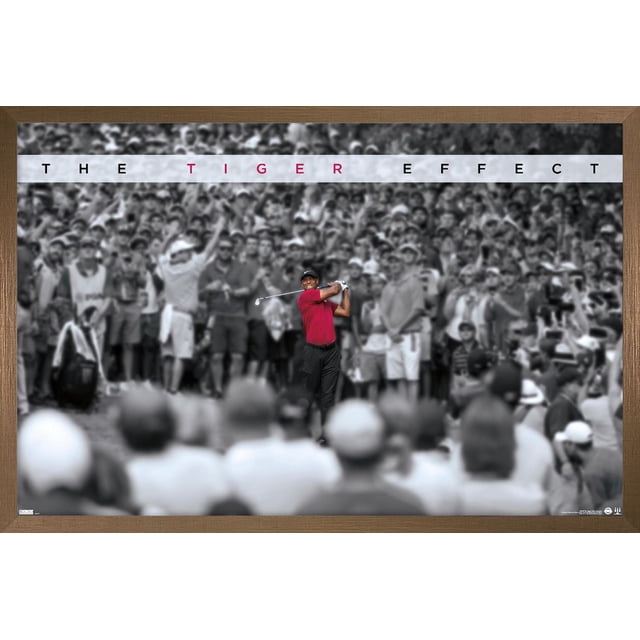 Tiger Woods - l'Affiche Murale à Effet Tiger, 22,375 Po x 34 Po, Représente un Golfeur avec une Chemise Rouge et un Pantalon Noir en Mi-Volte, Fortement Concentré contre une Foule Noir et Blanc Floue, avec le Titre « l'Effet Tiger » en Lettres Audacieuses au-Dessus, Convient à la Décoration Murale de la Maison Ou du Bureau.