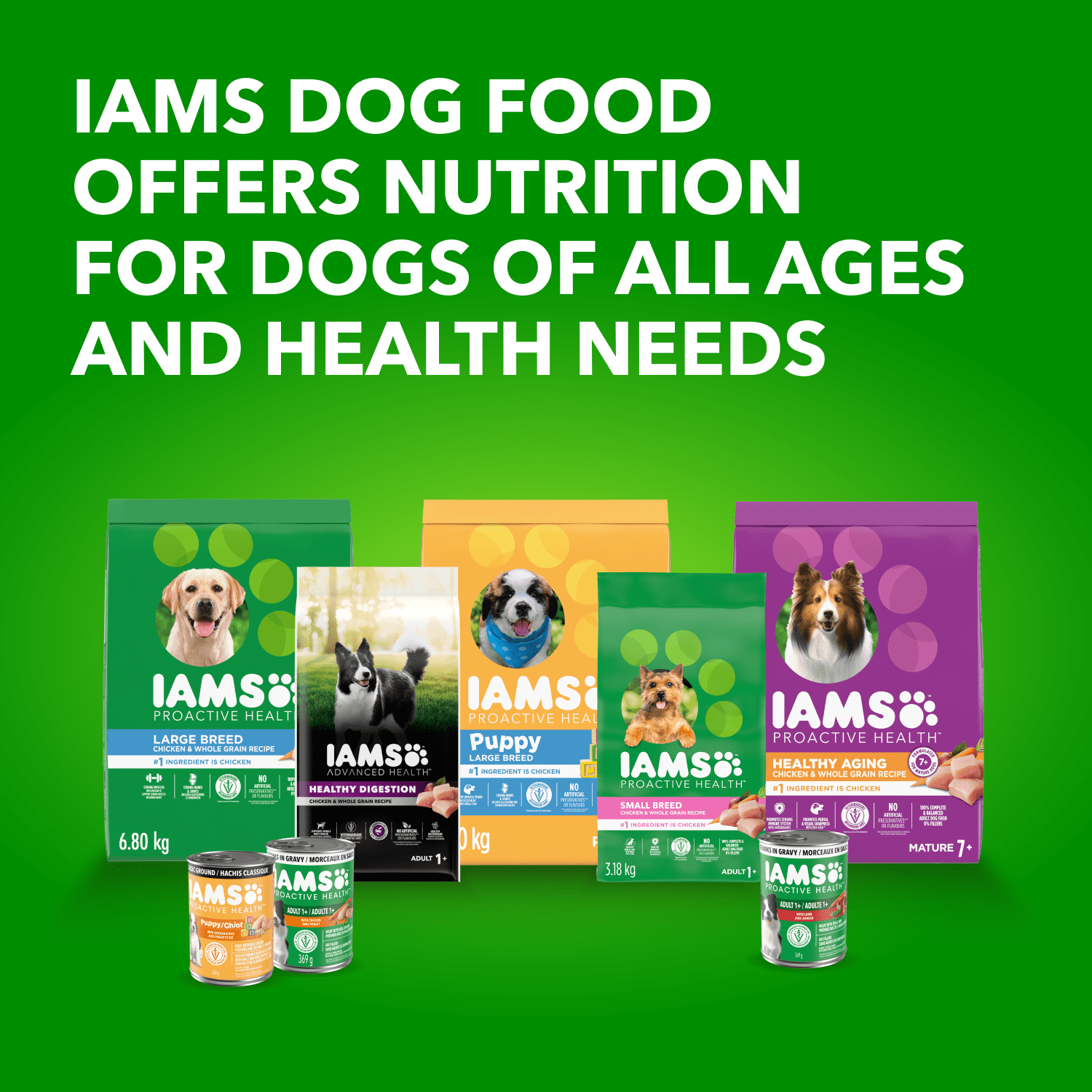 IAMS Proactive Health Agneau & Riz Ensemble Multiple Adulte Nourriture Humide pour Chiens 500g