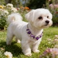 thumbnail image 1 of EGNMCR Adjustable Crystal Rhinestone Pet Necklace Bling Pet Jewelry For Small Medium Dogs Cats Wedding Party Holiday Pet Accessory Cute Gift For Pet Lovers Stone pets necklace, 1 of 6