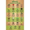 thumbnail image 3 of Kesh King Ayurvedic Scalp and Hair Oil, 100ml, 3 of 5