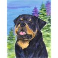 thumbnail image 1 of Carolines Treasures SS1026CHF Rottweiler Canvas Flag - House Size- 28 x 40 in., 1 of 4